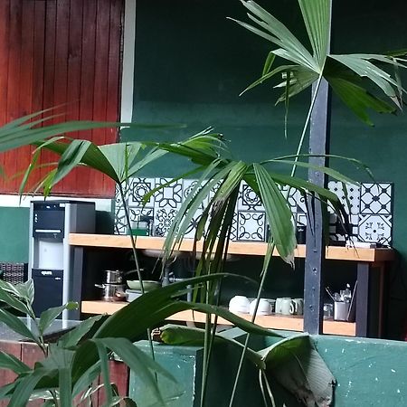 Hotel Boutique The Green Jungle House Puerto Viejo de Talamanca Exteriör bild