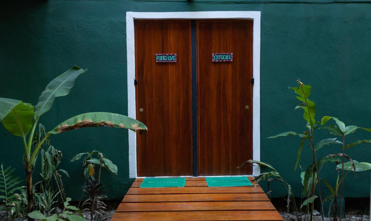 Hotel Boutique The Green Jungle House Puerto Viejo de Talamanca Exteriör bild