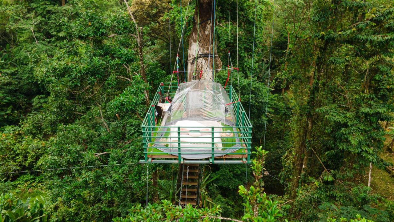 Hotel Boutique The Green Jungle House Puerto Viejo de Talamanca Exteriör bild