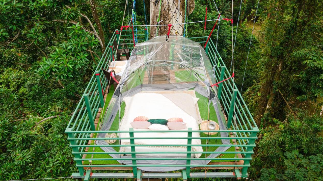 Hotel Boutique The Green Jungle House Puerto Viejo de Talamanca Exteriör bild