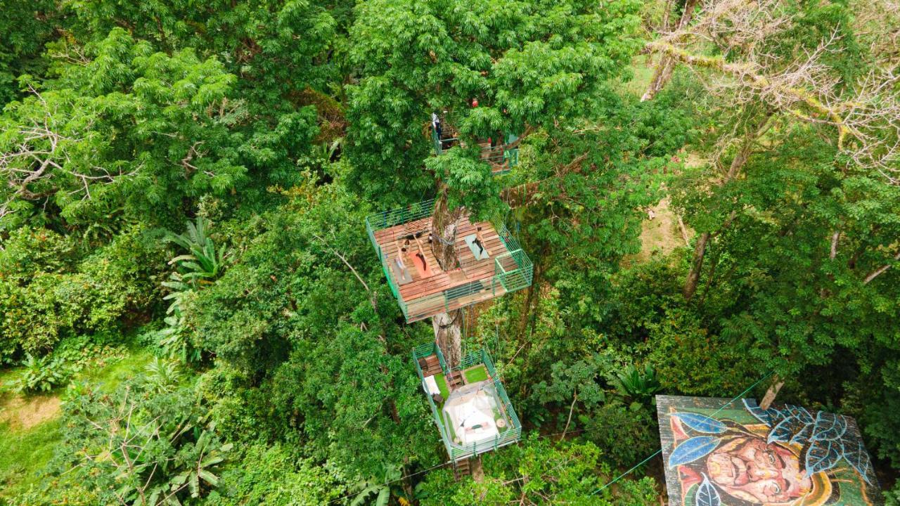 Hotel Boutique The Green Jungle House Puerto Viejo de Talamanca Exteriör bild