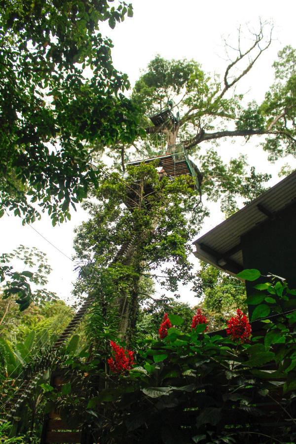 Hotel Boutique The Green Jungle House Puerto Viejo de Talamanca Exteriör bild