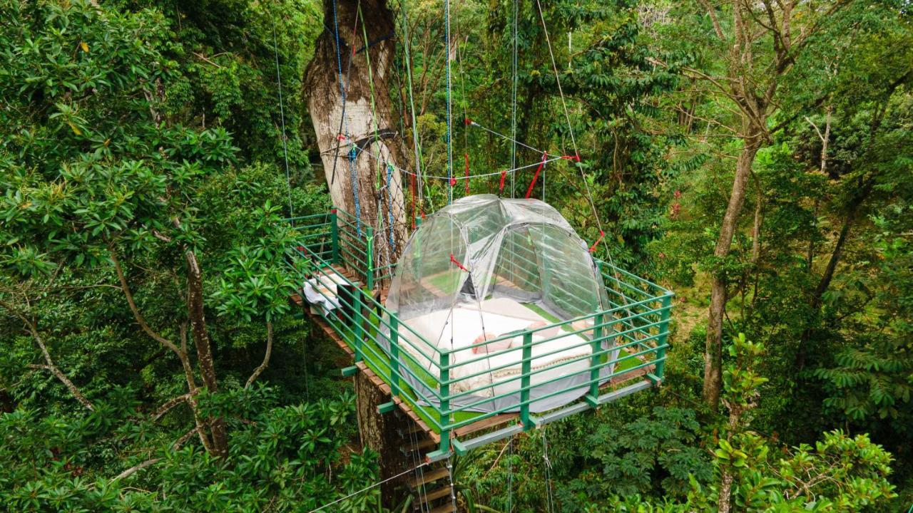 Hotel Boutique The Green Jungle House Puerto Viejo de Talamanca Exteriör bild