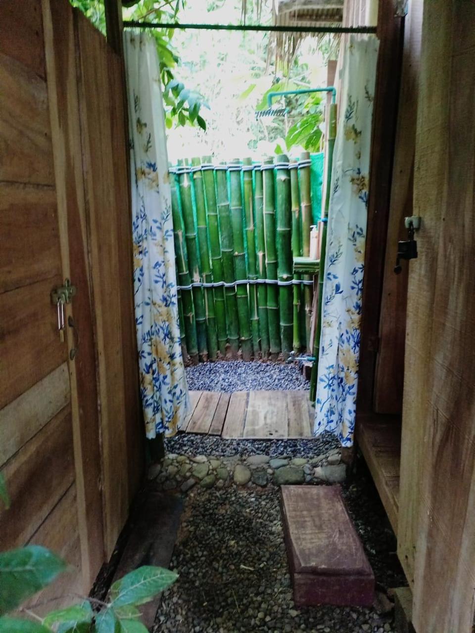 Hotel Boutique The Green Jungle House Puerto Viejo de Talamanca Exteriör bild